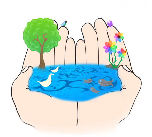 Water contest design