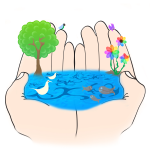 Water Contest